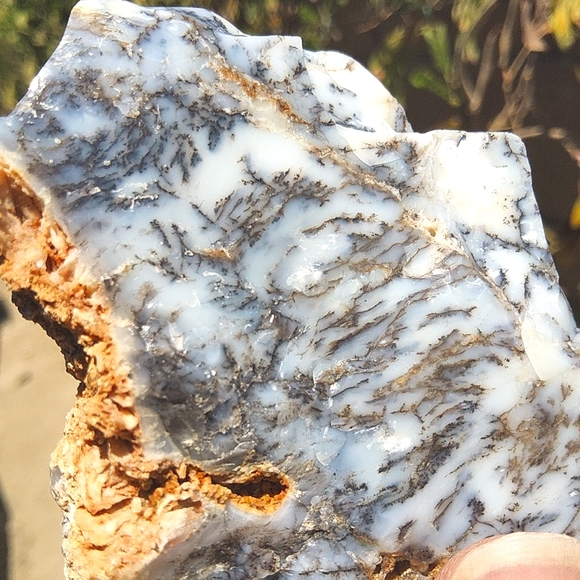 Semi Polished Beautiful Dendritic Opal Slab - Picture 8 of 17